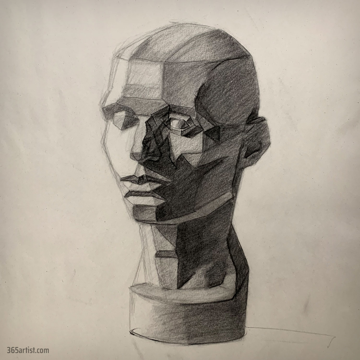 asaro charcoal portrait drawing