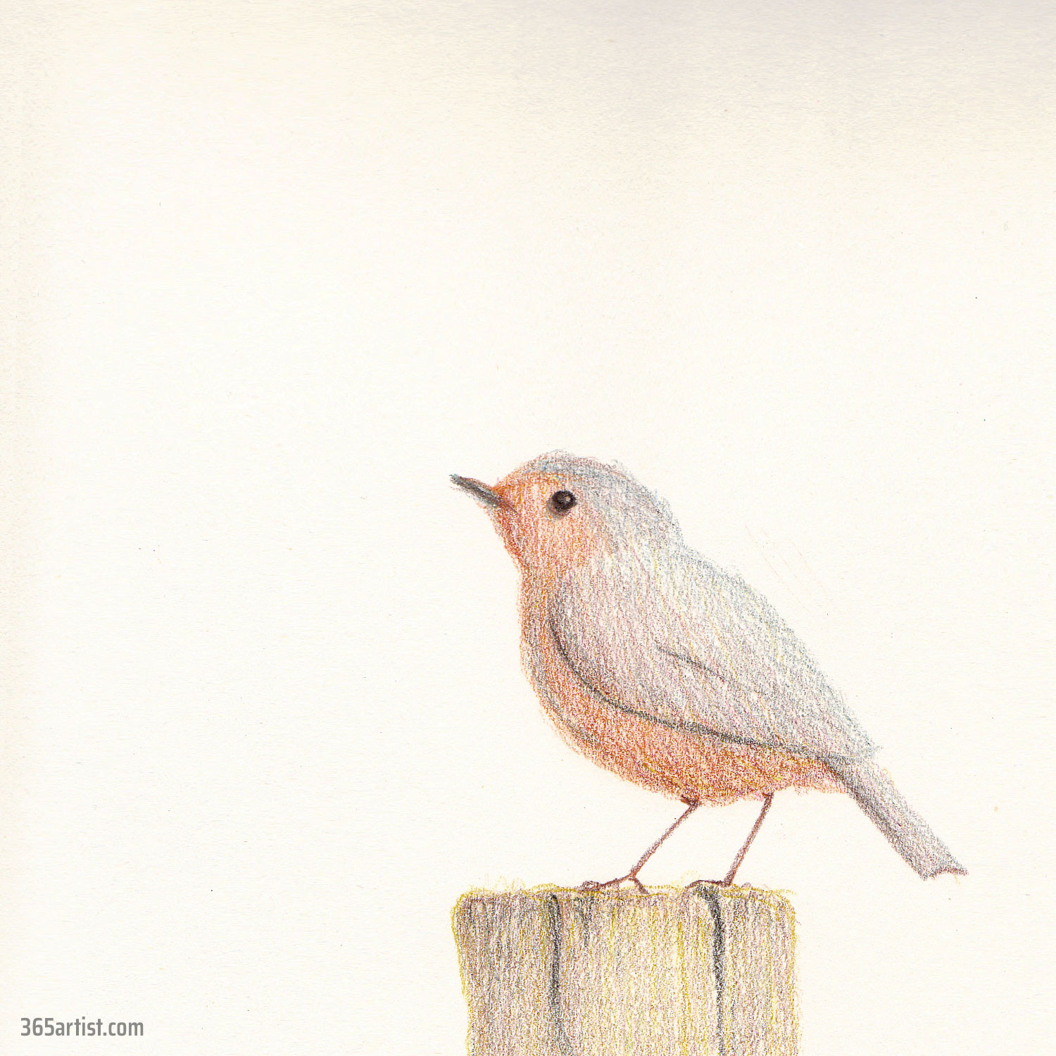 colored pencil drawing of a bird