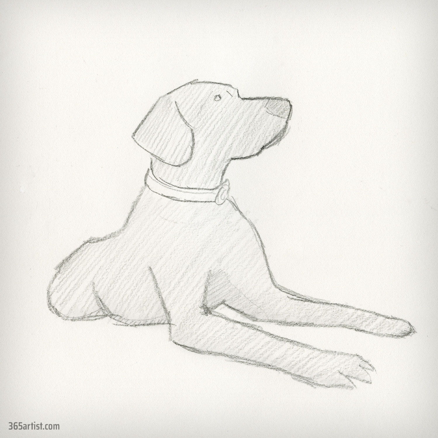 drawing of a dog
