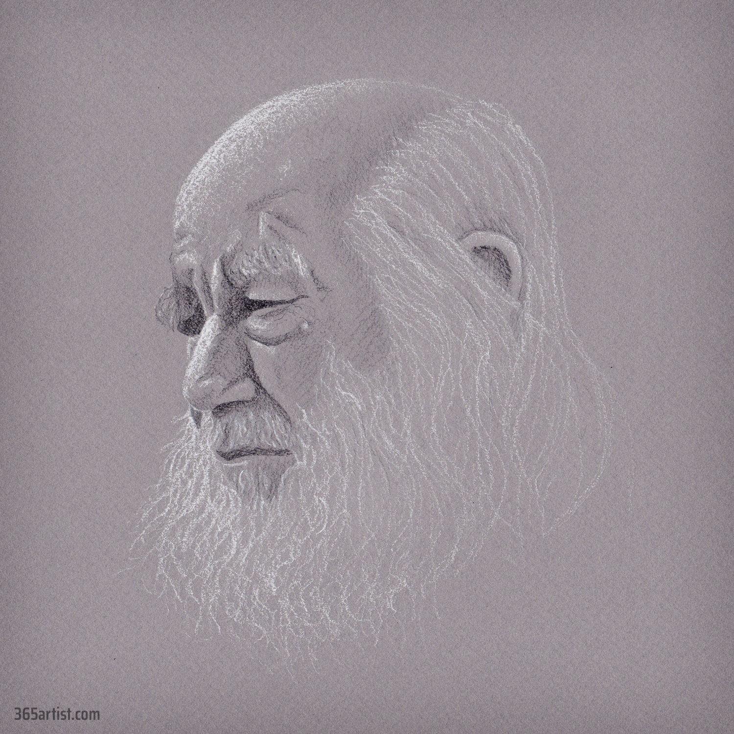 white beard charcoal drawing