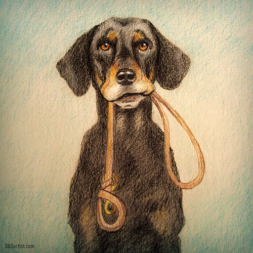 colored pencil drawing of a dog