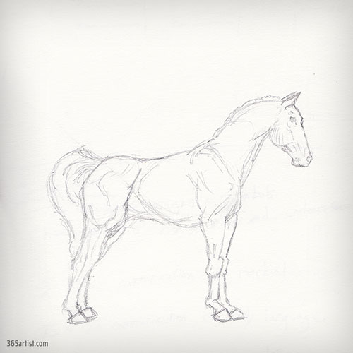 drawing sketch of a horse